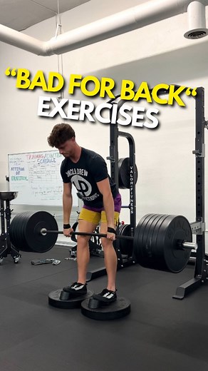 4.2K views · 101 reactions | Is BLANK exercise bad for your low back?...