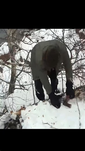 Snow survival camping alone in deep snow forest (Part 1) #SnowyWildernessAdventure #AloneInTheSnow #AloneInTheWinterWild #WinterSurvivalChallenge #DeepSnowAdventure #survival #offgrid #overlanding #camping #bushcraft #prepper #survivalist #homesteading #bushcrafting #bushcrafters #reels2023 | Camping Food Adventures