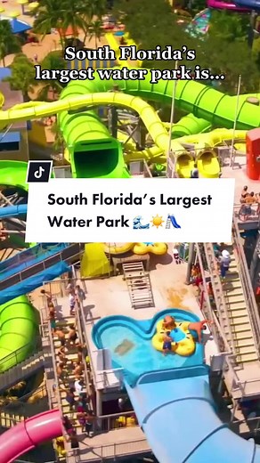 The Palm Beaches on TikTok