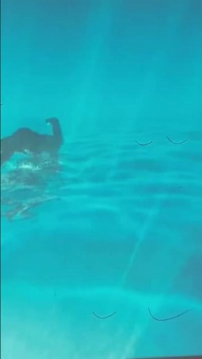 How To Rotation Epson Projector