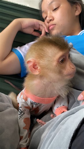 15K views · 300 reactions | Zim's sleepy殺 #shorts | Zim Family | Facebook