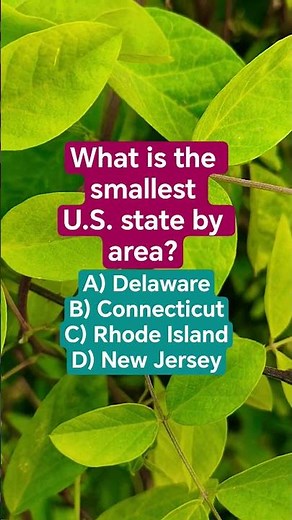 What is the smallest U.S. state by area?