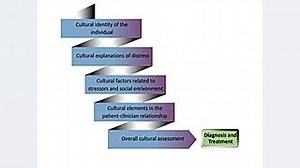 Domains of Cultural Formulation
