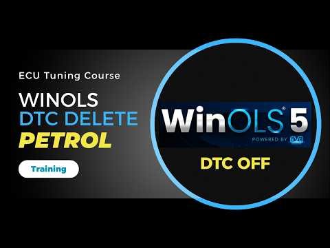 How to Remove Fault Codes with WinOLS (Petrol ECU Remapping Course for DTC Off )