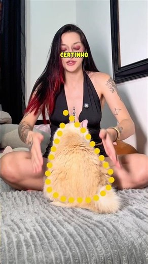 Chicken Wing Maintenance Tutorial! #cats #kitten #humor