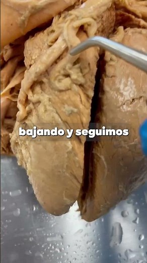 Tu músculo cardiaco también necesita sangre