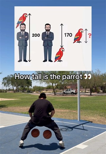 How tall is the parrot? 👀 #basketball #ballislife #explorepage✨ | parrot