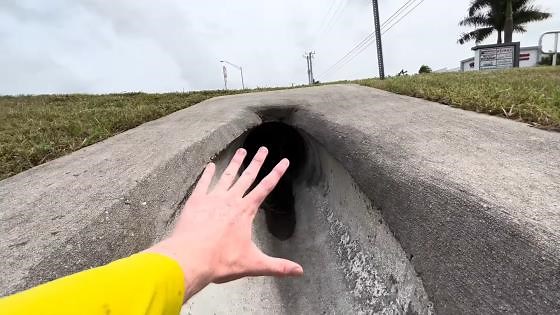 Rescuing Fish Stranded in a Roadside Ditch