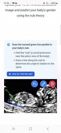 Nub Theory Tool for Baby Gender Prediction
