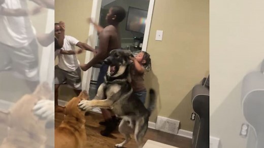 Whole House Mad | Know Your Meme