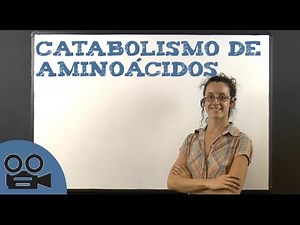 Catabolismo de aminoácidos