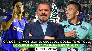 Carlos Hermosillo: "El Ángel del gol lo tiene todo, lo que le hace falta para llegar al Tri a Sepulveda" | El Futbolero México