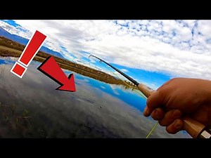 Bishop Fishing Trip!!! (Flyfishing and hitting the Owens river!!!)