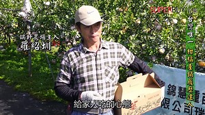 好快就要過年了~🎏 過年不能少這一味──茂谷柑🍊🍊 果形扁圓，果皮光滑橙黃色澤，很有喜氣很漂亮👑 羅大哥的茂谷柑不只是果肉細緻，酸甜適中，重點是品質非常安心，具有產銷履歷認證💪 自用或是佳節送禮都很讚喔🎁 🛒網站訂購：https://superbuy.tw/923c0 ☎電話訂購：02-27069229 #superbuy市集 #有故事的好味道 | SuperBuy市集 - 食在安心 健康生活