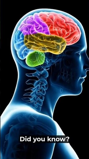 #shorts #brain 🧠 #quick facts #worldwide_facts