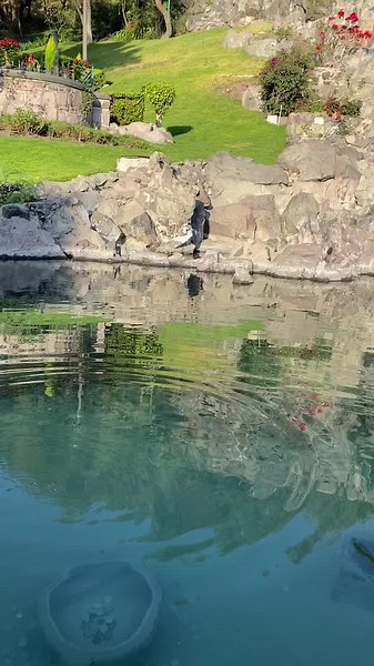 🙏🏻🇲🇽💖#virgendeguadalupe #mexico🇲🇽 #basilicadeguadalupe