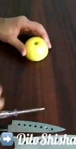 mini Shisha | Dilo Shishaking