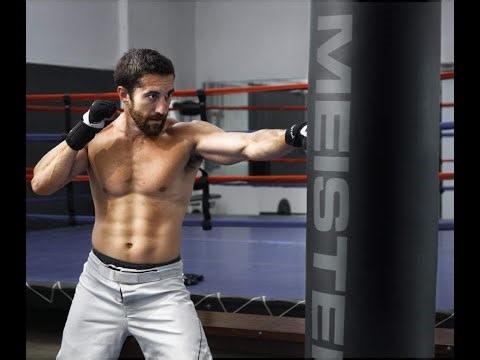 Meister 100lb Filled Heavy Bag for Boxing, MMA & Muay Thai 60 Professional Kicking & Punching Bag