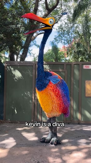 14 reactions | serving face with the diva herself ✨ #kevinup #animalkingdom #up #disneyworld #disney #servingface #diva #heydivas #disneydiva #funny #disneylocal #annualpassholder #divas #kevinanimalkingdom | lilschmoker | Facebook