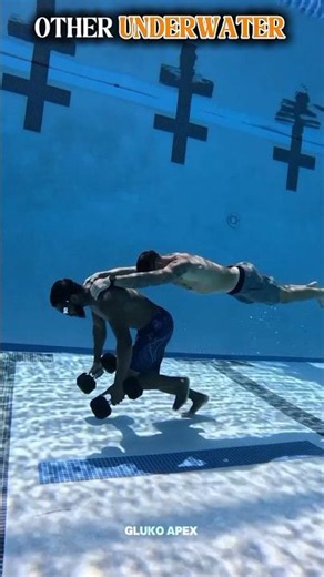 Amazing Underwater World 🐠 | Incredible Ocean Life Moments