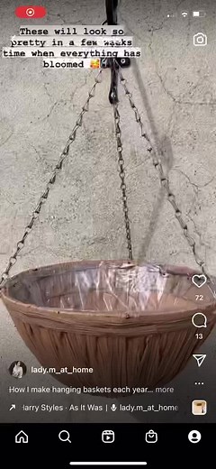 DIY Hanging Baskets: Create Beautiful Summer Gardens with Aldi's Baskets