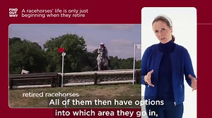 British Racing is committed to ensuring the continued welfare of former racehorses after their racing careers. A parade of former racehorses hosted by the sport's dedicated aftercare charity, Retraining of Racehorses will take place today at 12.30pm at The Cheltenham Festival demonstrating the versatility of the thoroughbred in their second careers  Cheltenham Racecourse @Retraining of Racehorses | British Horseracing Authority | Facebook