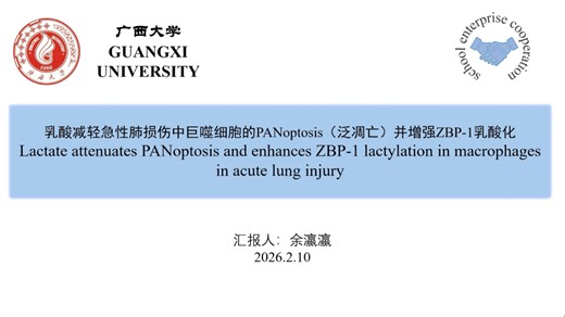 2026.2.10乳酸减轻急性肺损伤中巨噬细胞的PANoptosis并增强ZBP-1乳酸化