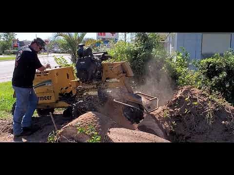 VERMEER SC352 Stump Grinder 🇺🇲 How a Stump Grinder Works