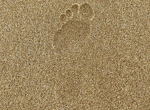 At the Dawn of 2021, What Could an Environmental Justice Manifesto Look Like?