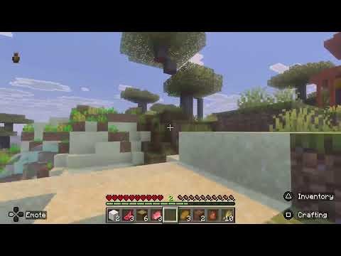 Minecraft with henny