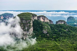 Les isolés. Tribus indigènes de l'Amazonie colombienne sans contact avec le monde. Rencontres sensorielles - coco Magnanville