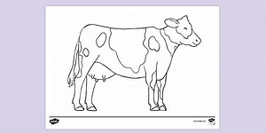 Cow Colouring Sheet 4