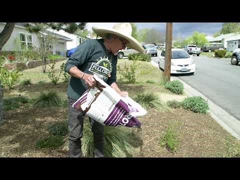 How To Use PROTECT Mulch | Full Circle Compost