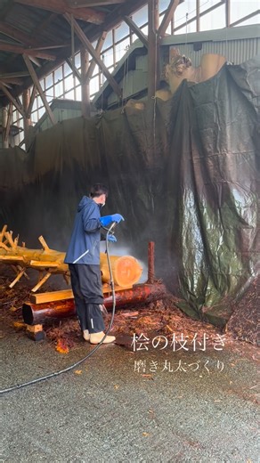 森庄銘木専務 林業家|森林デザイナー on Instagram: "\ありのままを活かす磨き丸太/ 室町、安土桃山時代に日本の数寄屋建築とともに生まれ文化として残り続ける磨き丸太。今回は桧の枝付き丸太の表面を剥きあげ、シンボルツリーを作っていきます。 400年以上受け継がれる伝統を、ゆっくり繋いでいます。 Polished logs emerged in Japan during the late 16th century, alongside sukiya architecture. #森庄銘木 #磨き丸太 #森と暮らしを繋ぐ #morisho #自然木 〜現在間伐中〜 奈良県宇陀市 奈良県御杖村 三重県白山町"