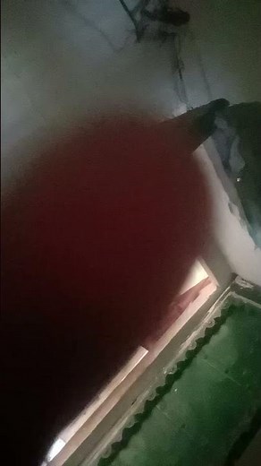 भगत दर्शन देजा बाबा मीठा राम