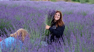 585K views · 1.1K reactions | Visiting a Local Lavender Farm & Making...