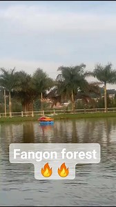 80K views · 1.3K reactions | Wuuuuhu bawe  | Faye Wa Alienskin | Facebook