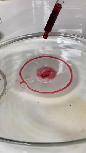 Réaction du sang avec le peroxyde d’hydrogène