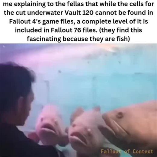 03/13/23 was obsessed with using the SpongeBob soundtrack for my videos for awhile #Fallout #Fallout2 #Fallout3 #FalloutNewVegas #Fallout4 #Fallout76 #FalloutSeries #FalloutLondon #Silly #Goofy #Wacky #Funny #Meme