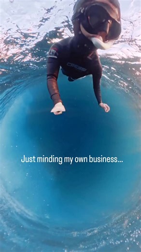 80 million views later… I realised that the music I chose got old real quick 😅 Here’s a music free version hopefully I don’t have hear “jet see you holiday” ever again. 🫠 Yes, I almost got swallowed. Yes, I probably would have been fine, the whale’s throat is very narrow. No, I have NEVER heard of the Jonah or Pinocchio reference before 😂 | Cindy Yang