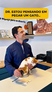 352K views · 13K reactions | Deixe nos comentários uma raça de gato que adora fazer uma visitinha aqui na clinica!  #clinica #clinicaveterinária #vet #veterinario #raçadegato #gato #cat #felino | Amo Vida Animal Centro Veterinário 24h | Facebook