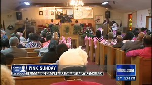 8th annual Pink Sunday honors breast cancer survivors