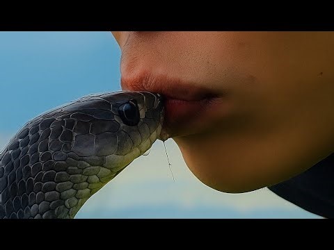 “Giving a cobra water in an unusual way.”