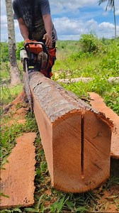 mga winalopan ni papz sa niyog | Papz Lumber