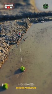 80K views · 23 reactions | Experience modern agriculture in action!...