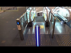 羽田空港 第２旅客ターミナル ANA 出発ロビー エスカレーター 2F-3F往復 Haneda airport Escalator Tokyo-walking