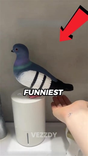 THESE ARE THE WORST TEMU ORDER FAILS! 💀📦