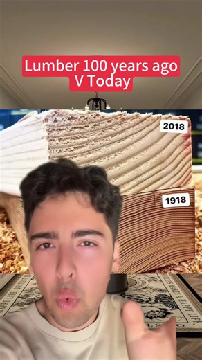 Lumber: 100 Years of Transformation in Wood Industry