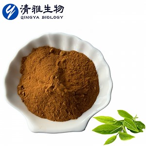 [Hot Item] Natural Water -Soluble Powder Green Tea Extract 10: 1 Tea Polyphenol