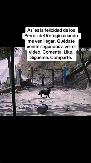 Recuerdos: ideas y momentos para guardar recuerdos